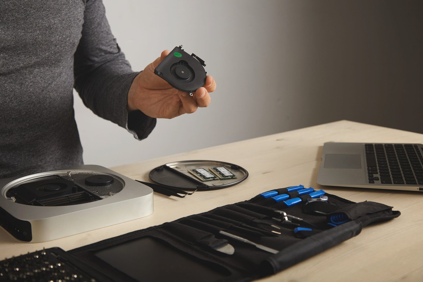 Are Expensive Electronic Pest Control Devices Worth It